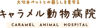 キャラメル動物病院｜兵庫県神戸市の動物病院｜予防接種・検診・セカンドオピニオン対応