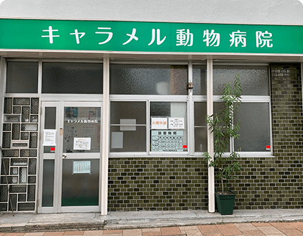 医院概要