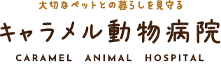 キャラメル動物病院｜兵庫県神戸市の動物病院｜予防接種・検診・セカンドオピニオン対応