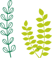 イラスト
