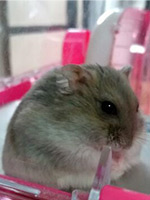 スタッフ紹介