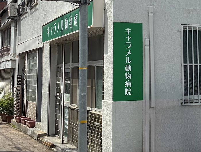 医院概要